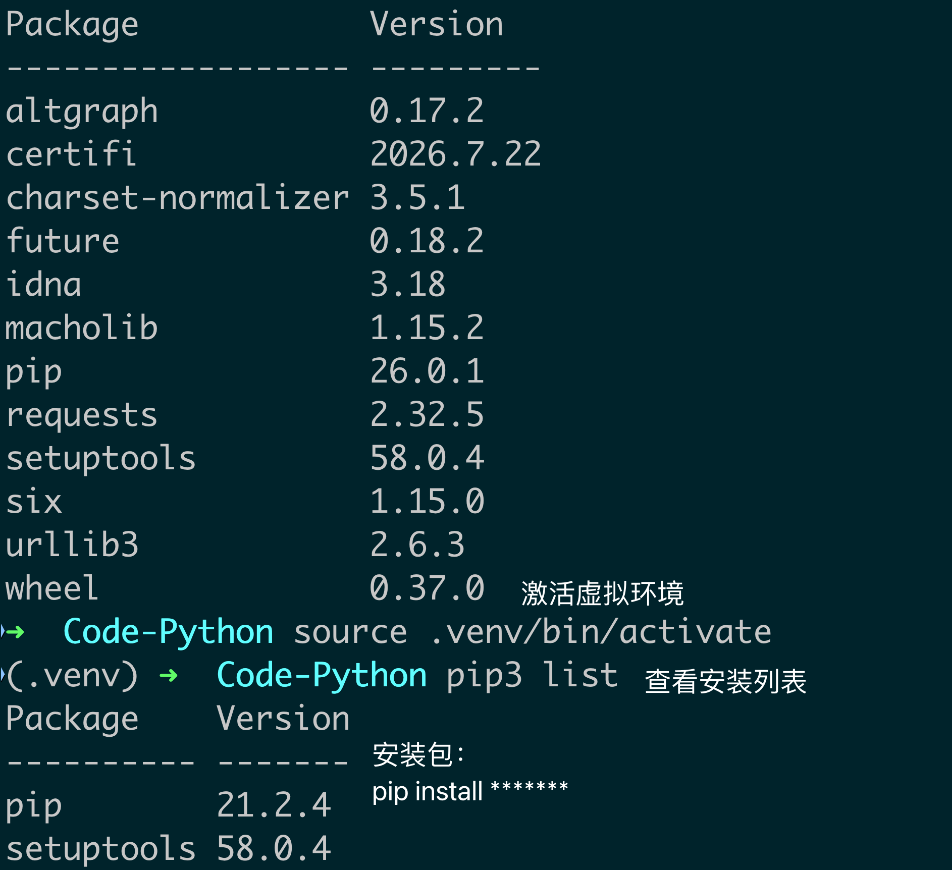 image-20260816101722321
